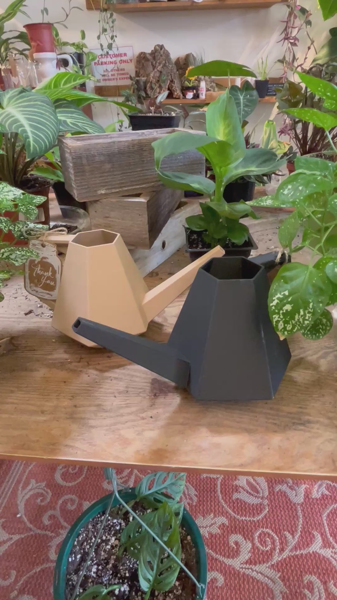 ZENFLOW Watering Can