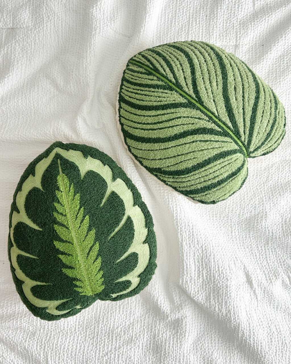 Tufted Calathea Orbifolia Leaf Pillow