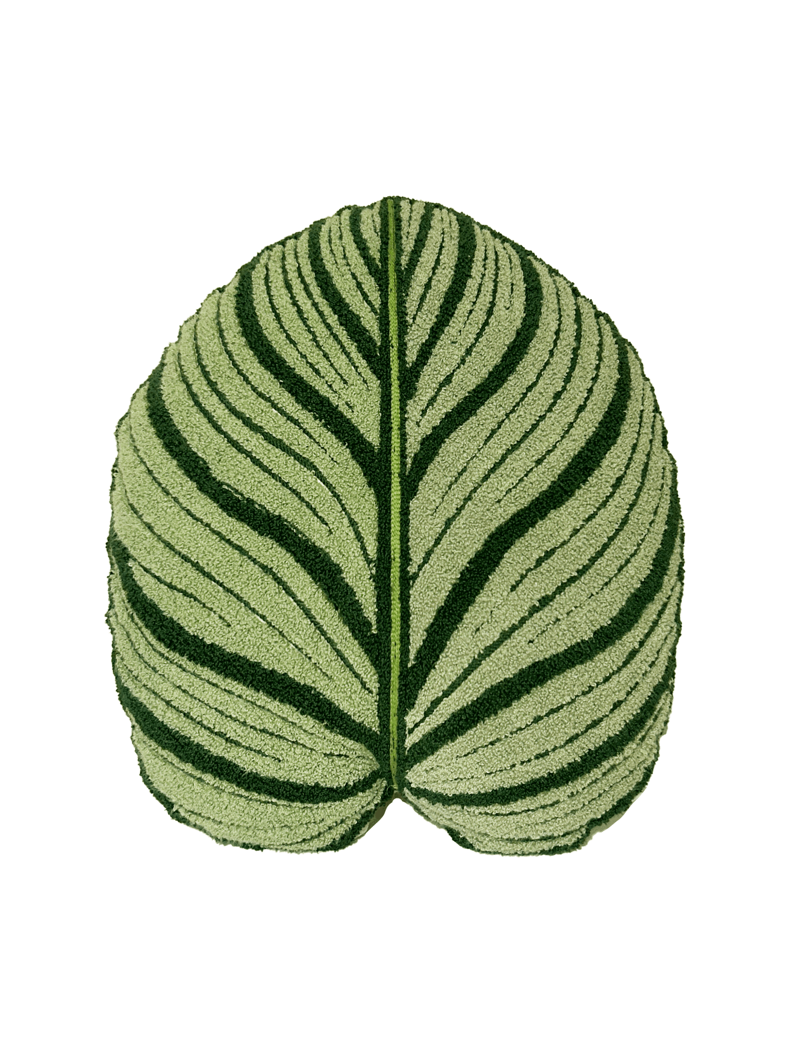 Tufted Calathea Orbifolia Leaf Pillow