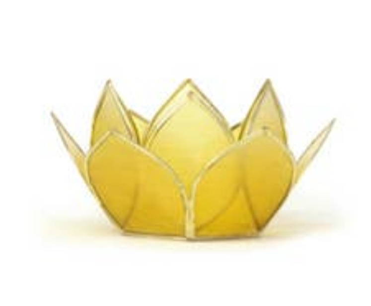 Philippine Capiz Shell Petals Tea Light holders we