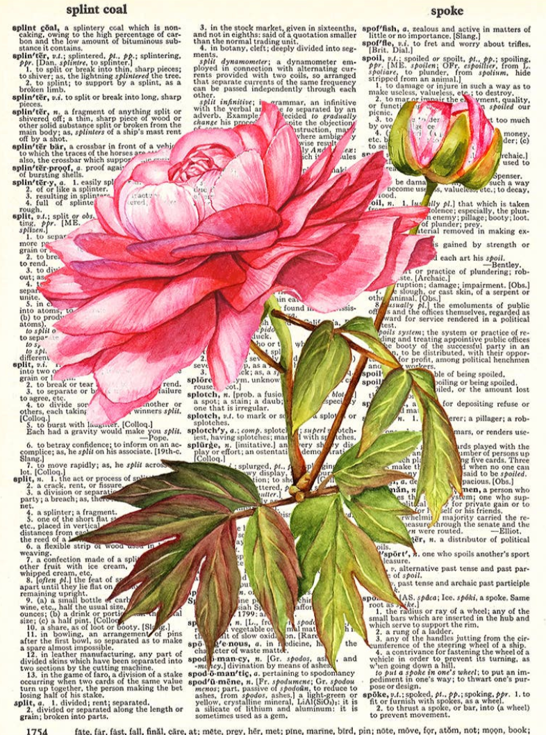 Vintage Dictionary Paper Prints
