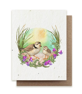 Plantable Greeting Cards Wildflower OR Herb